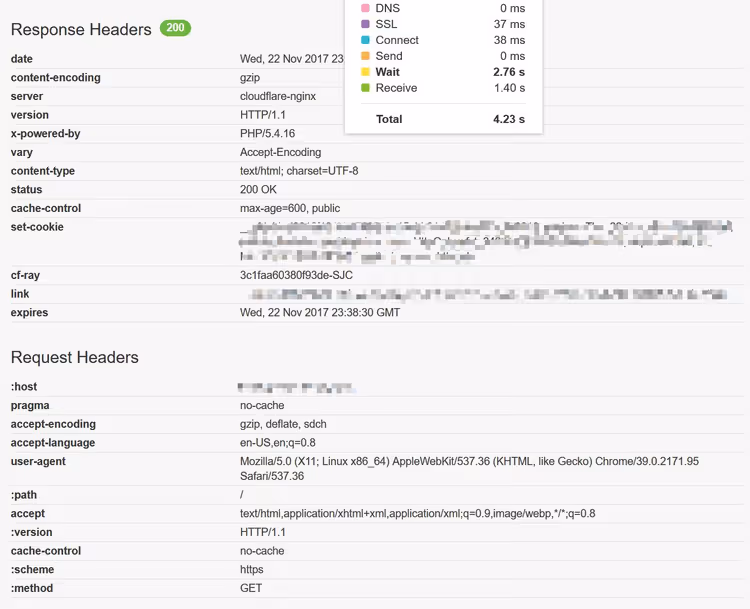 Dettaglio TTFB che mostra 4,2 secondi in Pingdom per sito non ottimizzato