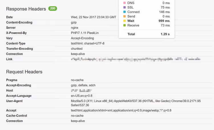 Il server veloce non salva il sito lento senza cache