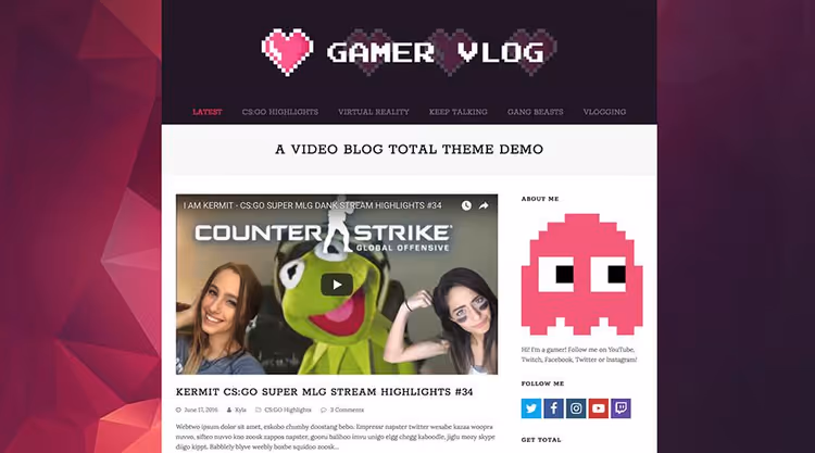 Total WordPress theme features