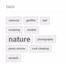 Tag cloud con tag stilizzati come pulsanti compatti