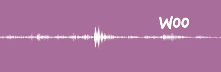 Music Player for WooCommerce-plugin, spelare på produktsida