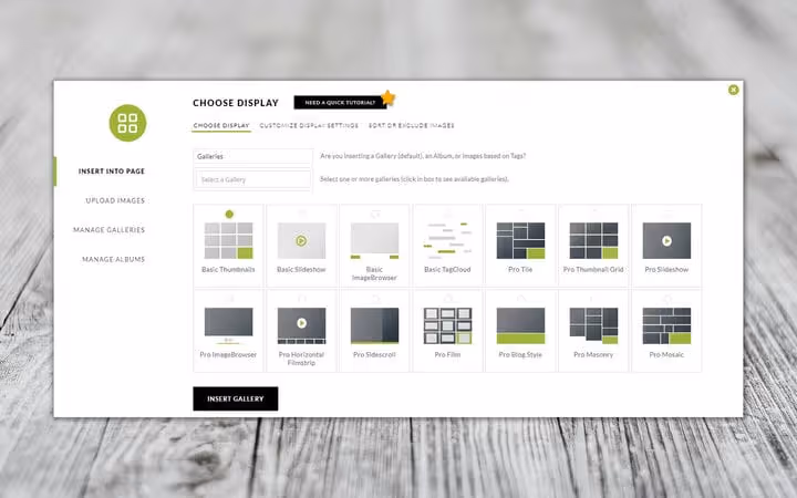 NextGEN Gallery feature overview in the plugin interface