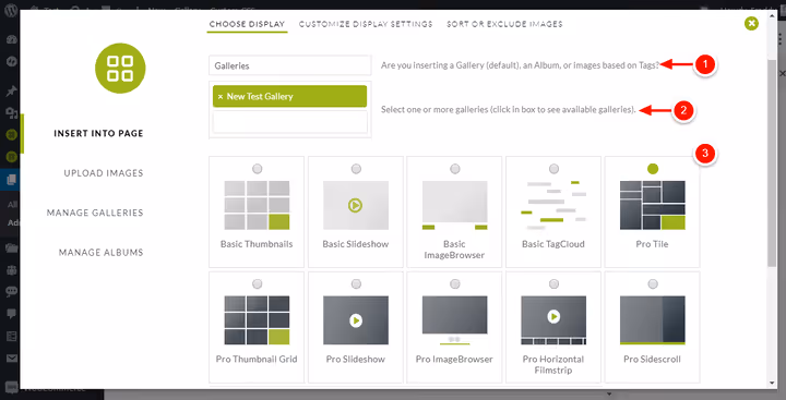 NextGEN gallery and display style selection window