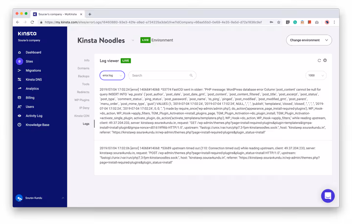 Log di accesso raw del server in Kinsta
