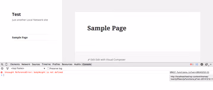 JavaScript errors in browser console when testing theme