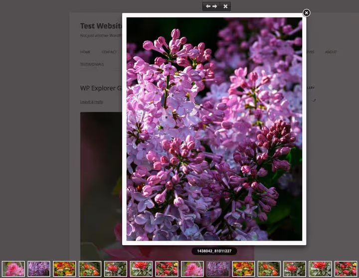 Envira Gallery plugin adminpanel med galleriinnstillinger