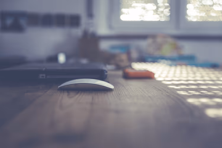 🎓 Как создать онлайн-курс с помощью WordPress