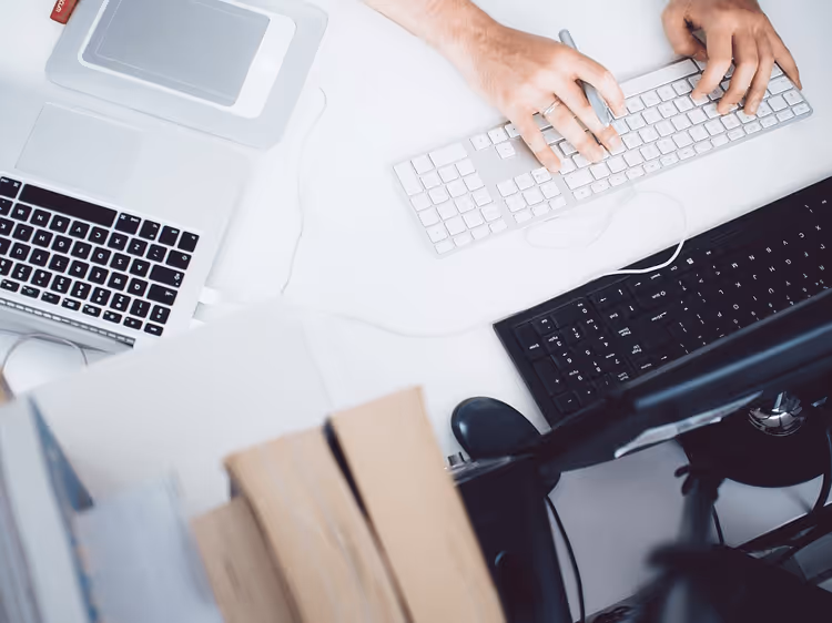 Business owner at laptop analyzing WordPress site budget for 2026