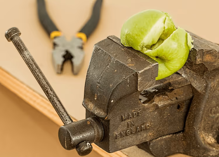 ⚙️ 11 WordPress-Plugins zur Bildoptimierung im Jahr 2026