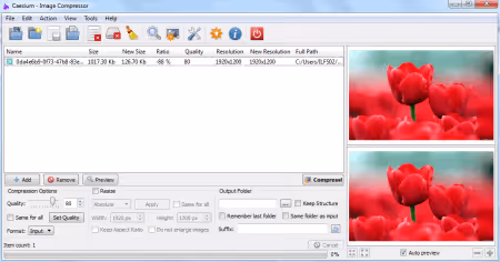Modern Caesium interface with preview and quality settings