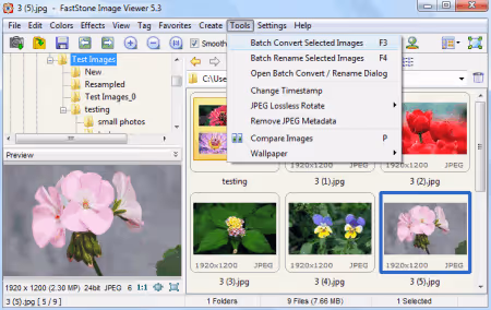 Explorer-like FastStone Image Viewer interface with batch converter