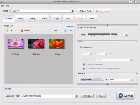 Preset saving in PearlMountain Image Resizer for typical scenarios