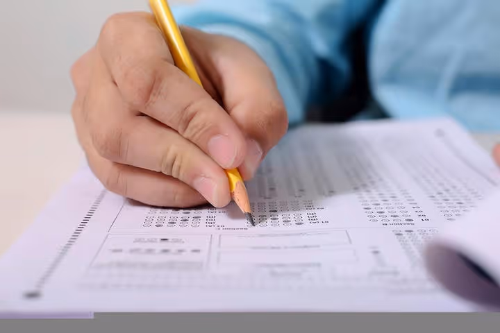 ✍️ 5 Pistikprogrammi veebieksamiteks WordPressis 2026