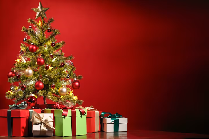 🎄 13 WordPress themes for a Christmas website 2026