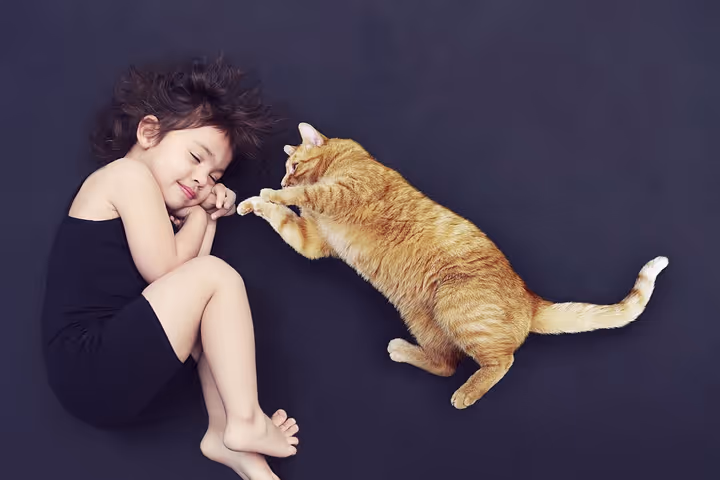 👨👶👶 10 Melhores temas WordPress para sites de babysitters e amas 2026