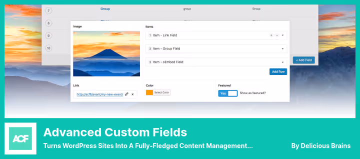 Advanced Custom Fields field group editor