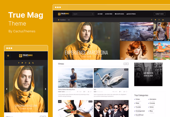 Revista de vídeos no tema True Mag com BuddyPress