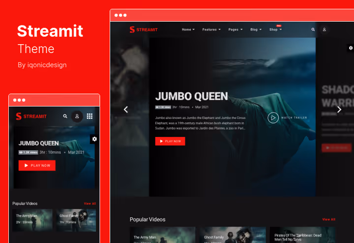 Тема Streamit, OTT-стримінг з реєстрацією користувачів