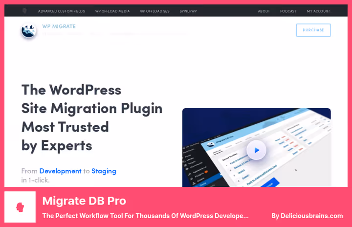 Database transfer interface in WP Migrate plugin