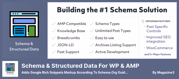 Schema tüübi seaded Schema Structured Data for WP AMP pluginas