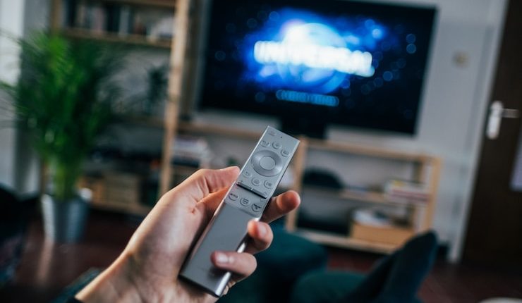 person holding gray remote control