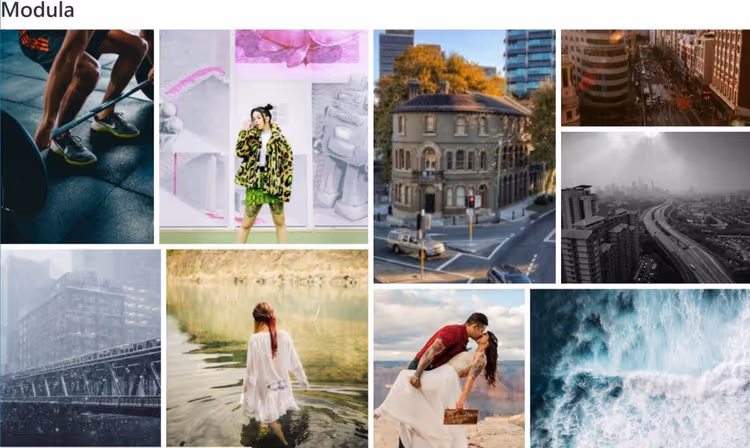🖼 7 WordPress galleri-plugins 2026: ärlig jämförelse med skärmdumpar