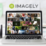 Руководство для начинающих по галерее NextGEN для WordPress