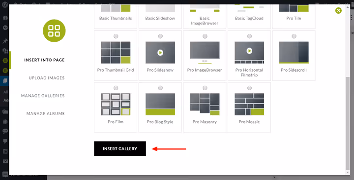 📸 NextGEN Gallery plugin review: from installation to selling photos