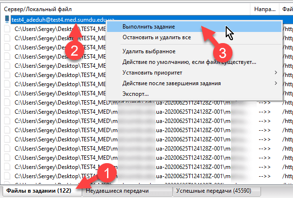 Duplicator - инструкция и обзор лучшего плагина для перемещения WordPress сайта на сервер