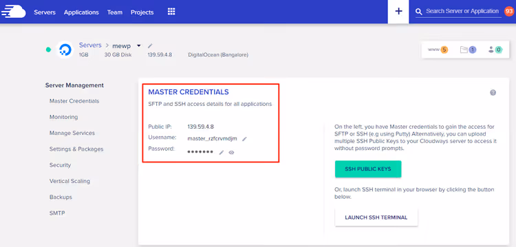 Credenciais FTP no painel de gestão do servidor Cloudways